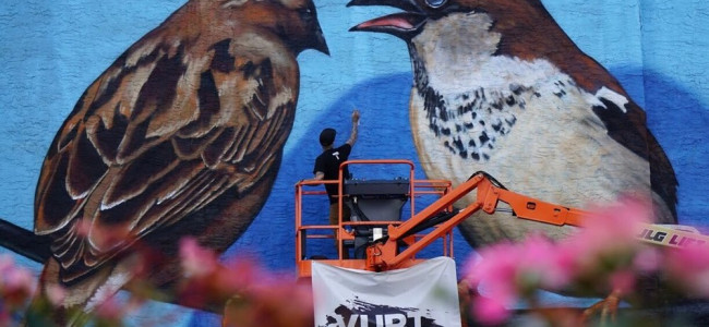 Street Art Society of NEPA begins first of 10 local murals in Edwardsville July 26-27