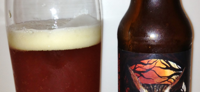 HOW TO PAIR BEER WITH EVERYTHING: Night Owl Pumpkin Ale