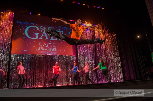PHOTOS: Greater Scranton Chamber Gala and SAGE Awards, 11/11/14