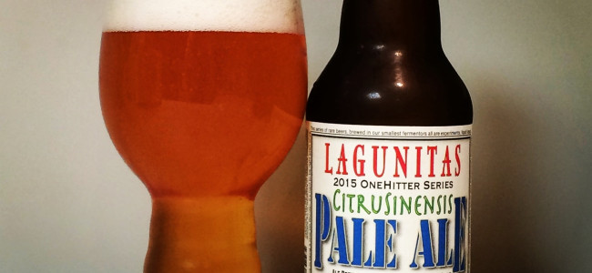 HOW TO PAIR BEER WITH EVERYTHING: OneHitter Series: CitruSinensis by Lagunitas Brewing Company