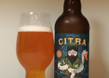 HOW TO PAIR BEER WITH EVERYTHING: Citra Ass Down by Against the Grain Brewery