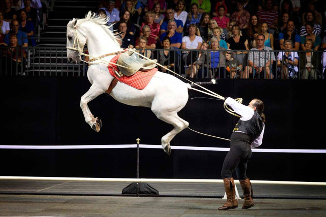 Gala of the Royal Horses back by popular demand at Mohegan Sun Arena in Wilkes-Barre on Sept. 12
