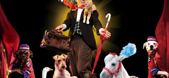 Popovich Comedy Pet Theater brings trained rescue animals to Kirby Center in Wilkes-Barre April 5
