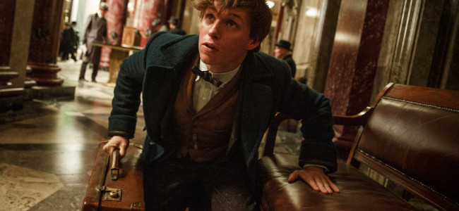 MOVIE REVIEW: ‘Fantastic Beasts and Where to Find Them’ is world-building magic worth discovering