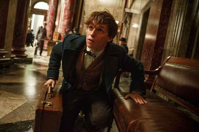 MOVIE REVIEW: ‘Fantastic Beasts and Where to Find Them’ is world-building magic worth discovering