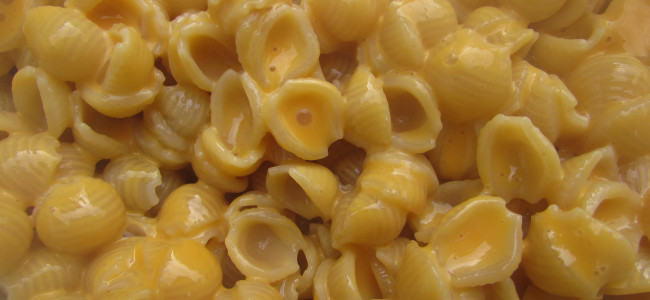 Pick the best mac and cheese in the Poconos at bake-off benefit in Stroudsburg on Nov. 4