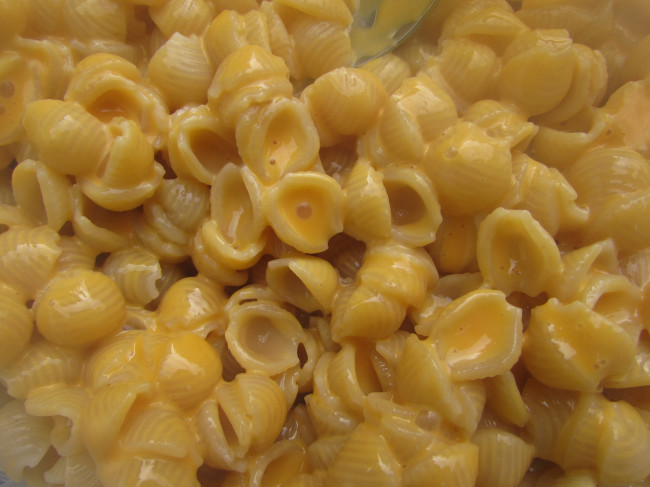 Pick the best mac and cheese in the Poconos at bake-off benefit in Stroudsburg on Nov. 4