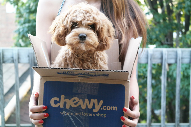 Chewy.com expands with new Archbald distribution center, creating 1,000 jobs in Lackawanna County