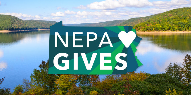 NEPA Gives raises $523,683 in one day for 167 local nonprofit organizations