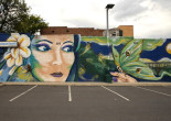 Street Art Society of NEPA issues call for artists to create virtual mural with unifying theme
