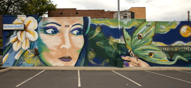 Street Art Society of NEPA issues call for artists to create virtual mural with unifying theme