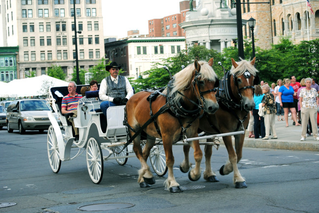 Historical Society hosts horse-drawn carriage tours in Scranton, holiday raffle, and virtual lectures