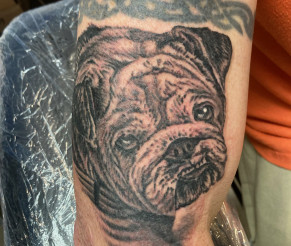 INK OF THE WEEK: ‘Bulldog’ by artist Elijah Birtel at Electric City Tattoo & Piercing in Scranton