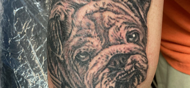 INK OF THE WEEK: ‘Bulldog’ by artist Elijah Birtel at Electric City Tattoo & Piercing in Scranton